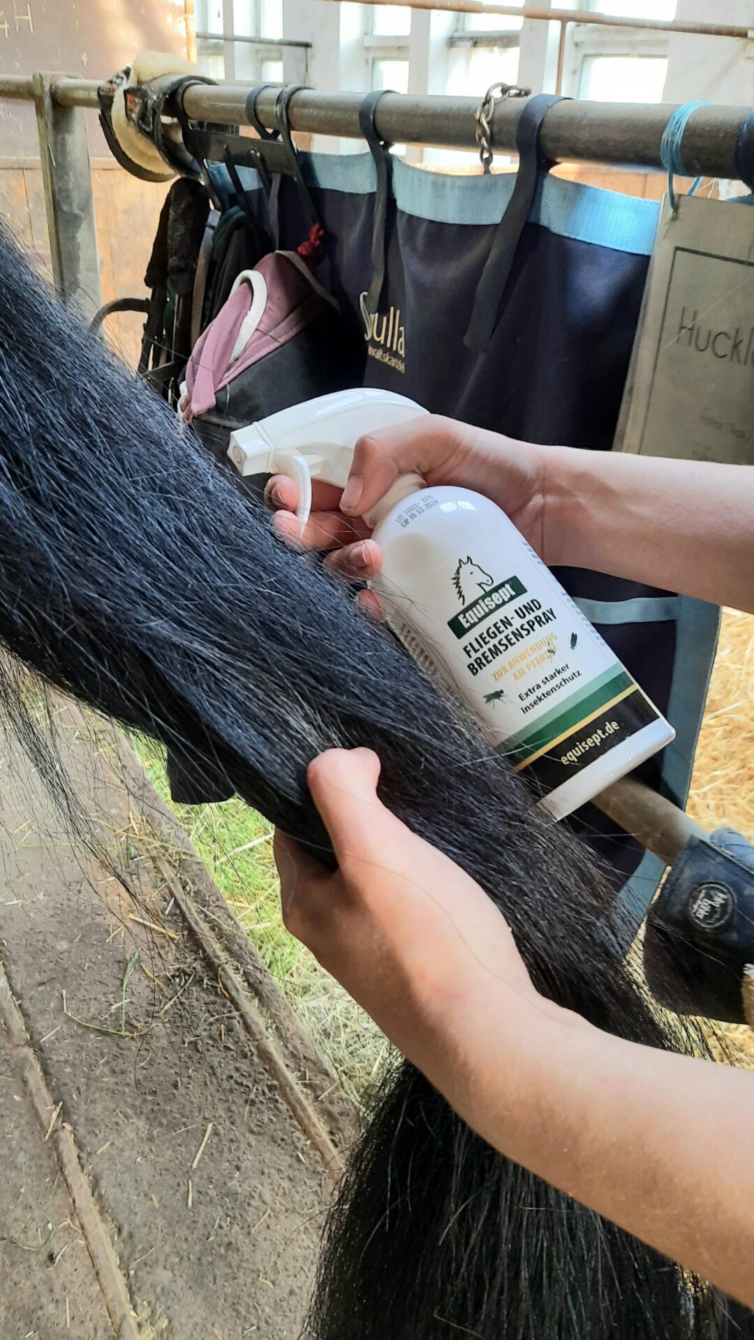 ehorses magazine: Everything about horse breeds & horse knowledge