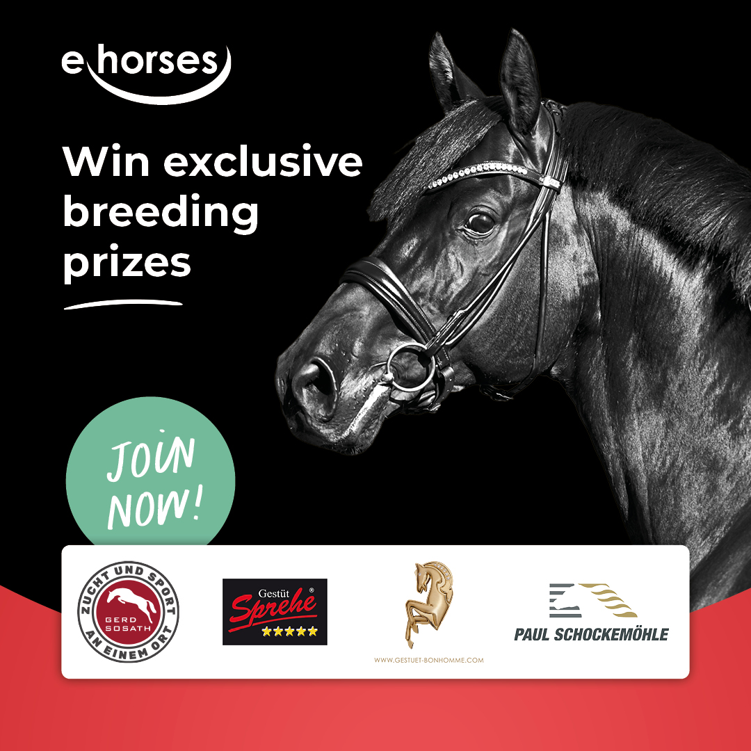 Ermelo Sweepstake - ehorses Magazine