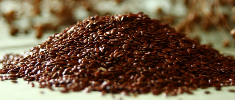Linseed: Superfood for Horses
