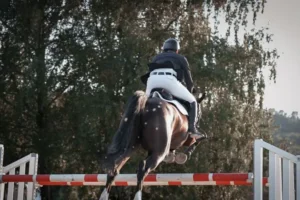 Horse jumping from behind 