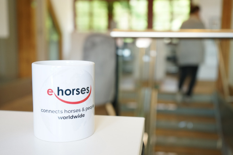 ehorses is the undisputed number one in the global online horse market