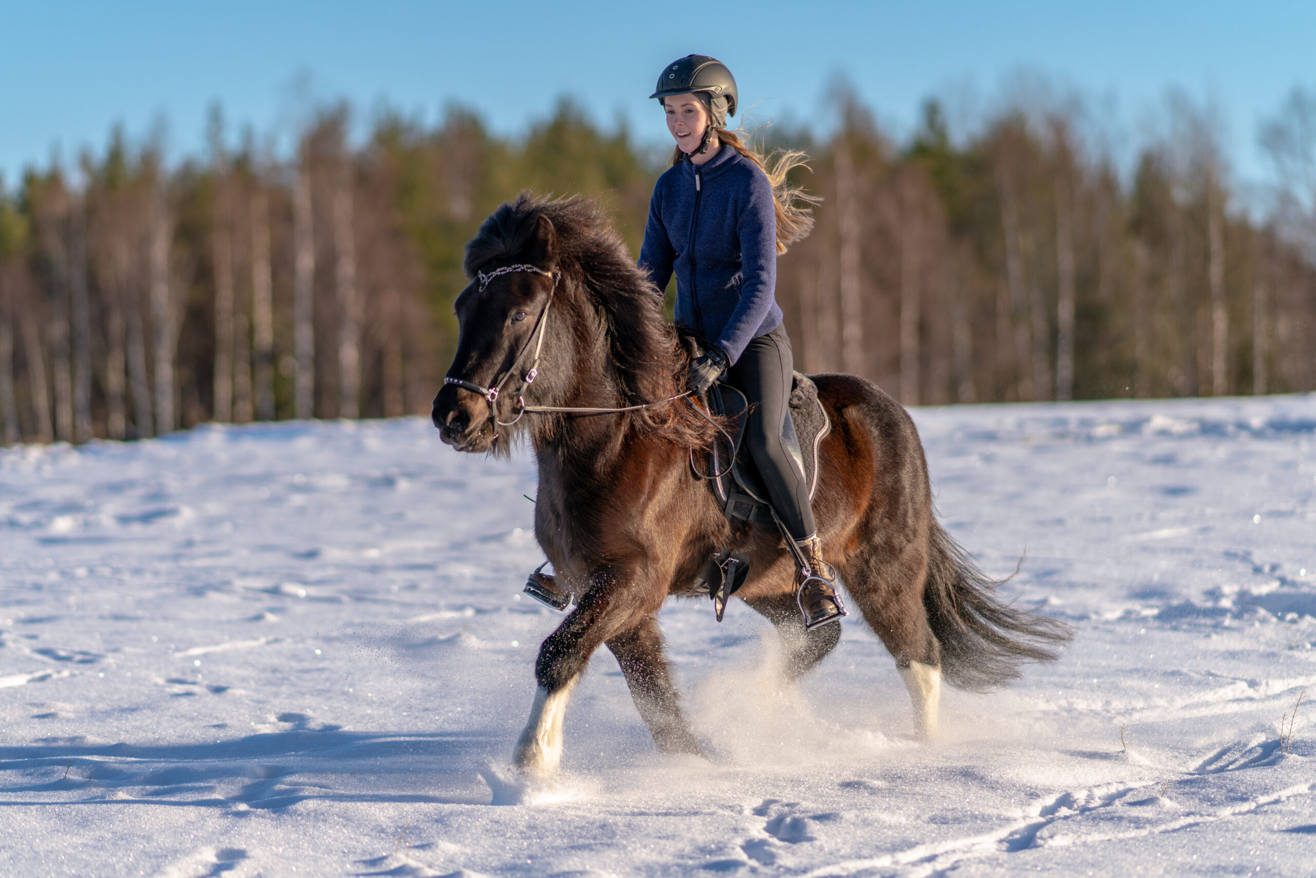 Young Swedish woman riding her Icelandic horse in deep snow