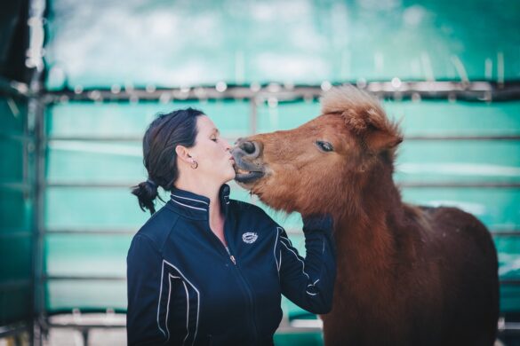ehorses magazine: Everything about horse breeds & horse knowledge