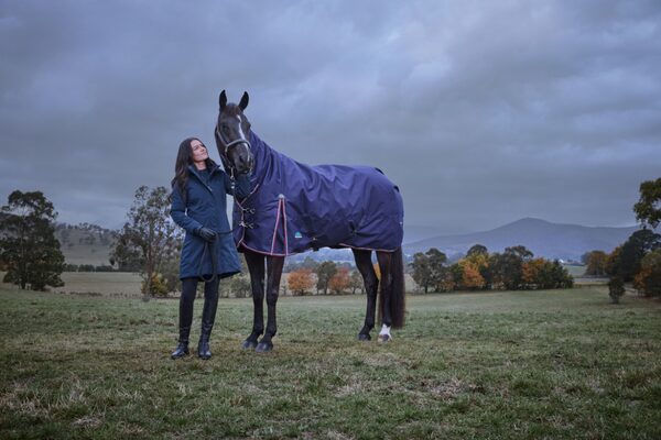 thermoregulation in horses